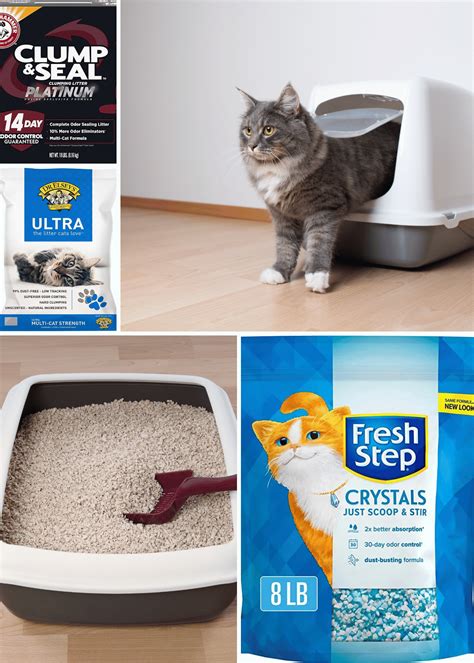 best odor control kitty litter|Iba pa.